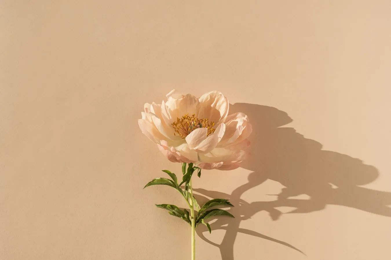 Fleur
