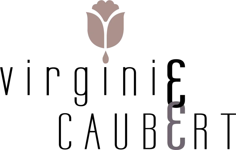 logo Virginie