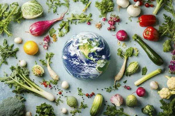 L'hygiène alimentaire (4/4)