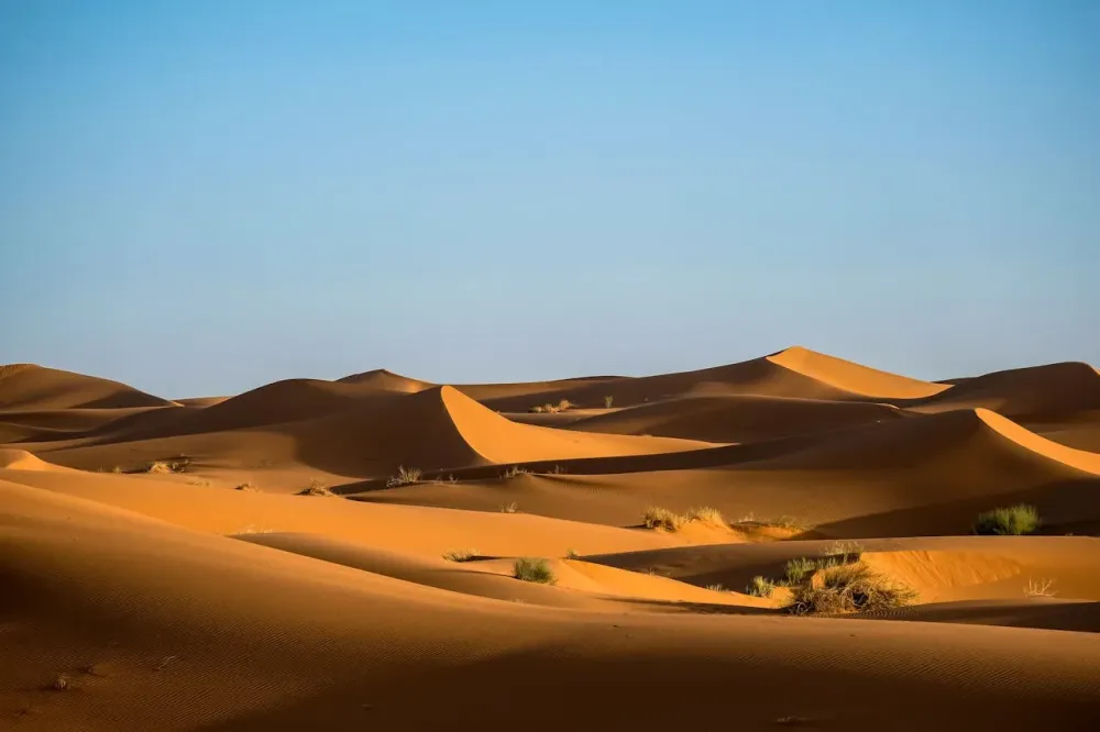 desert